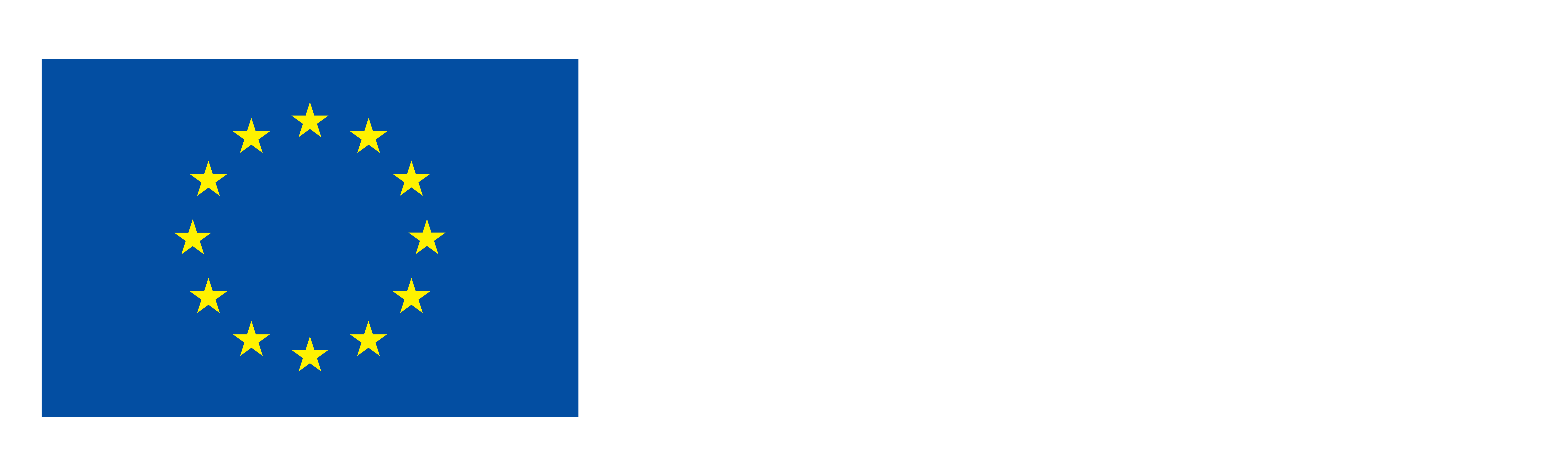 ES Financiado por la Union Europea NEG